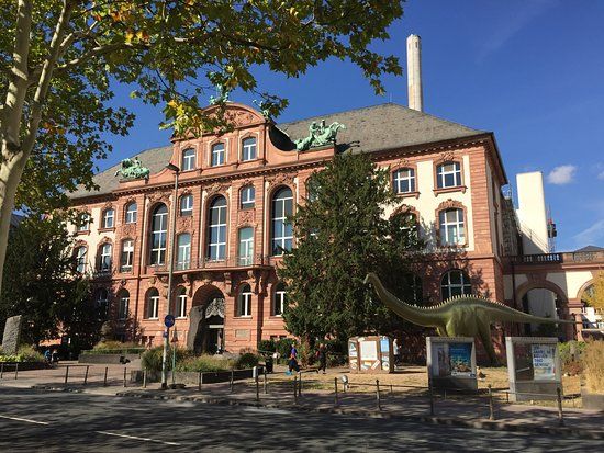 Senckenberg Naturmuseum
